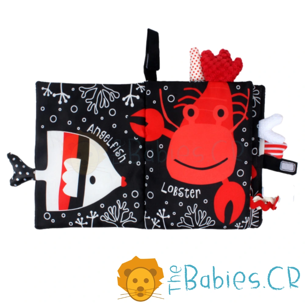 Libro de contrastes para Estimulación Visual - Imagen 2